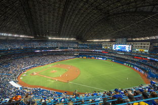 爱游戏中国官方登录入口网站-世界击剑锦标赛中国女花首次进四强，击剑世界冠军女