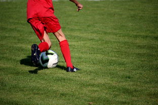 爱游戏官网-中国篮球教练员职业发展规划及培训体系，篮球教练员职业生涯规划