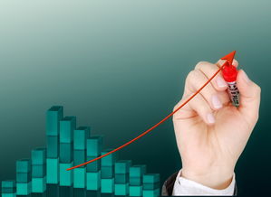 爱游戏登录入口-中国篮球职业联赛经济效益分析与可持续发展战略研究,中国篮球产业规模