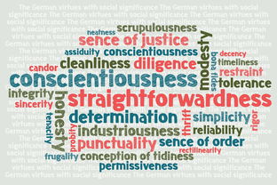 爱游戏-中小学体育师资现状调查与专业发展建议,中小学体育教师的专业素养