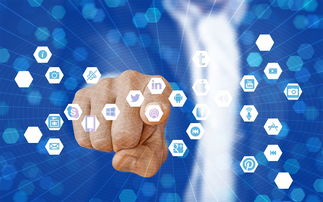 爱游戏娱乐平台-体育赛事安全管理体系构建与优化路径研究,体育赛事安全方案