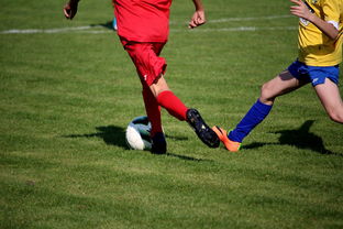 爱游戏app下载-篮球训练计划科学制定与执行效果评估，篮球训练计划制定与范例