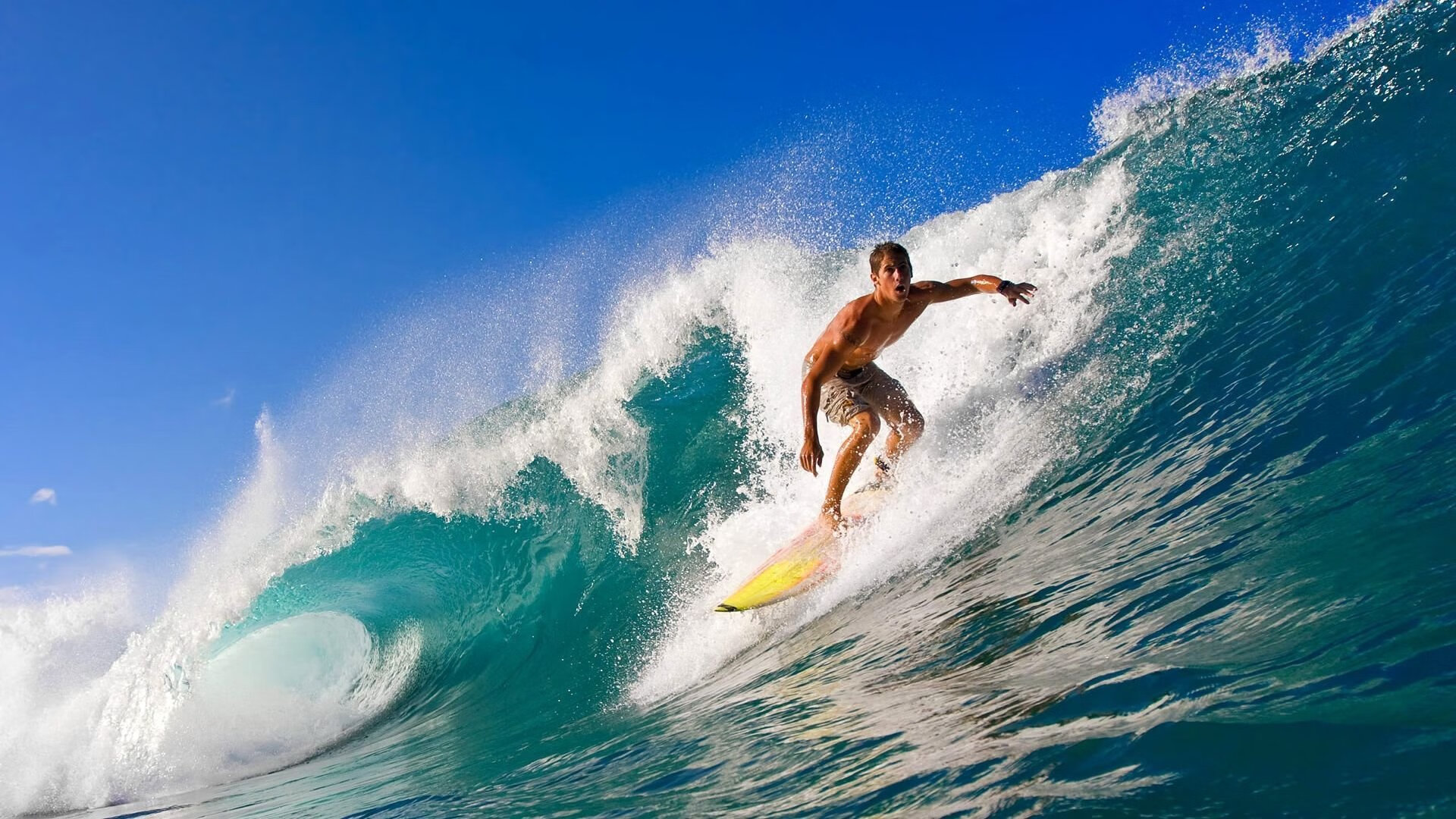 爱游戏体育官方网站-球迷故事：他们追球的执着与你想象的不同，追球追求